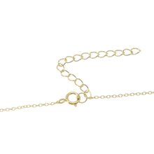 Load image into Gallery viewer, Zodiac Necklace
