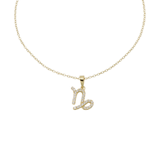 Load image into Gallery viewer, Zodiac Necklace
