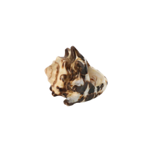 Load image into Gallery viewer, Shell Ring
