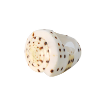 Load image into Gallery viewer, Laguna Shell Ring
