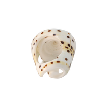 Load image into Gallery viewer, Laguna Shell Ring
