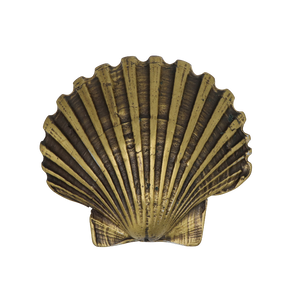 Shell Belt Buckle