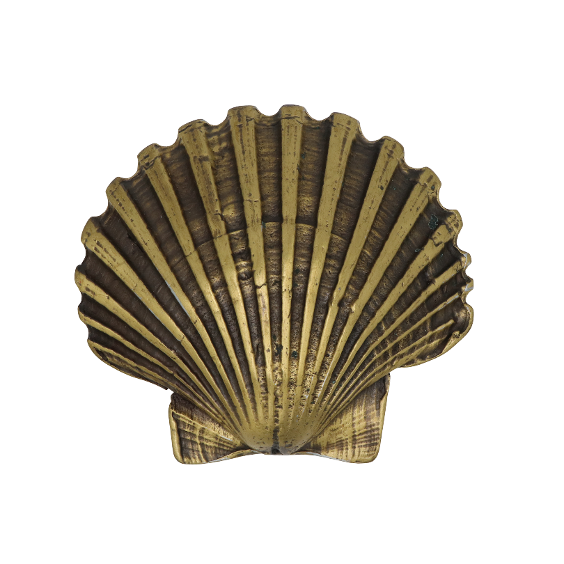 Shell Belt Buckle