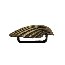 Load image into Gallery viewer, Shell Belt Buckle
