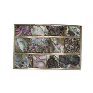 Alpaca Silver Mother of Pearl Abalone Belt Buckle