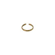 Load image into Gallery viewer, Terra Toe Ring
