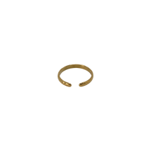 Load image into Gallery viewer, Terra Toe Ring
