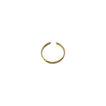 Load image into Gallery viewer, Terra Toe Ring
