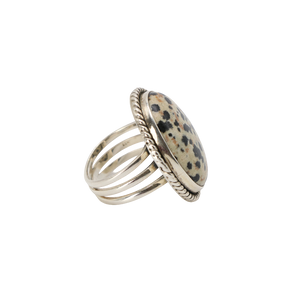 Dalmatian Jasper