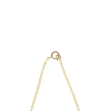Load image into Gallery viewer, Selena Necklace
